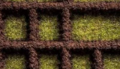 How Many Squares Can You Spot? What Counting Squares Reveals About Your Personality