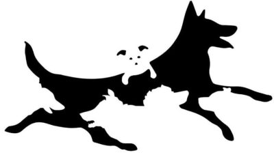 The number of dogs you see in this picture determines your mental age.